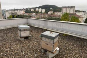 Habitat jeunes Clairvivre ruches